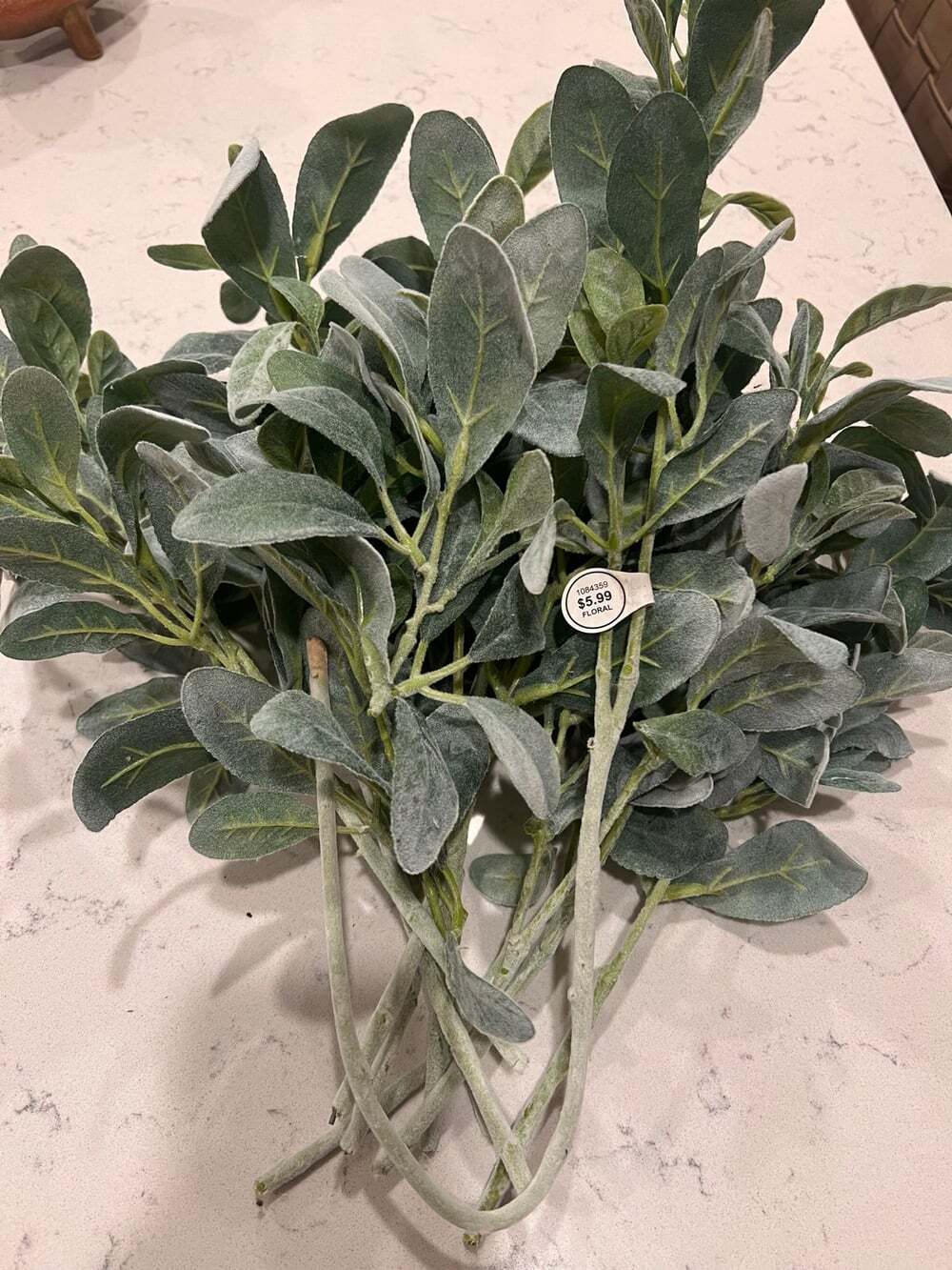 Lamb’s Ear Stems - 13 pieces
